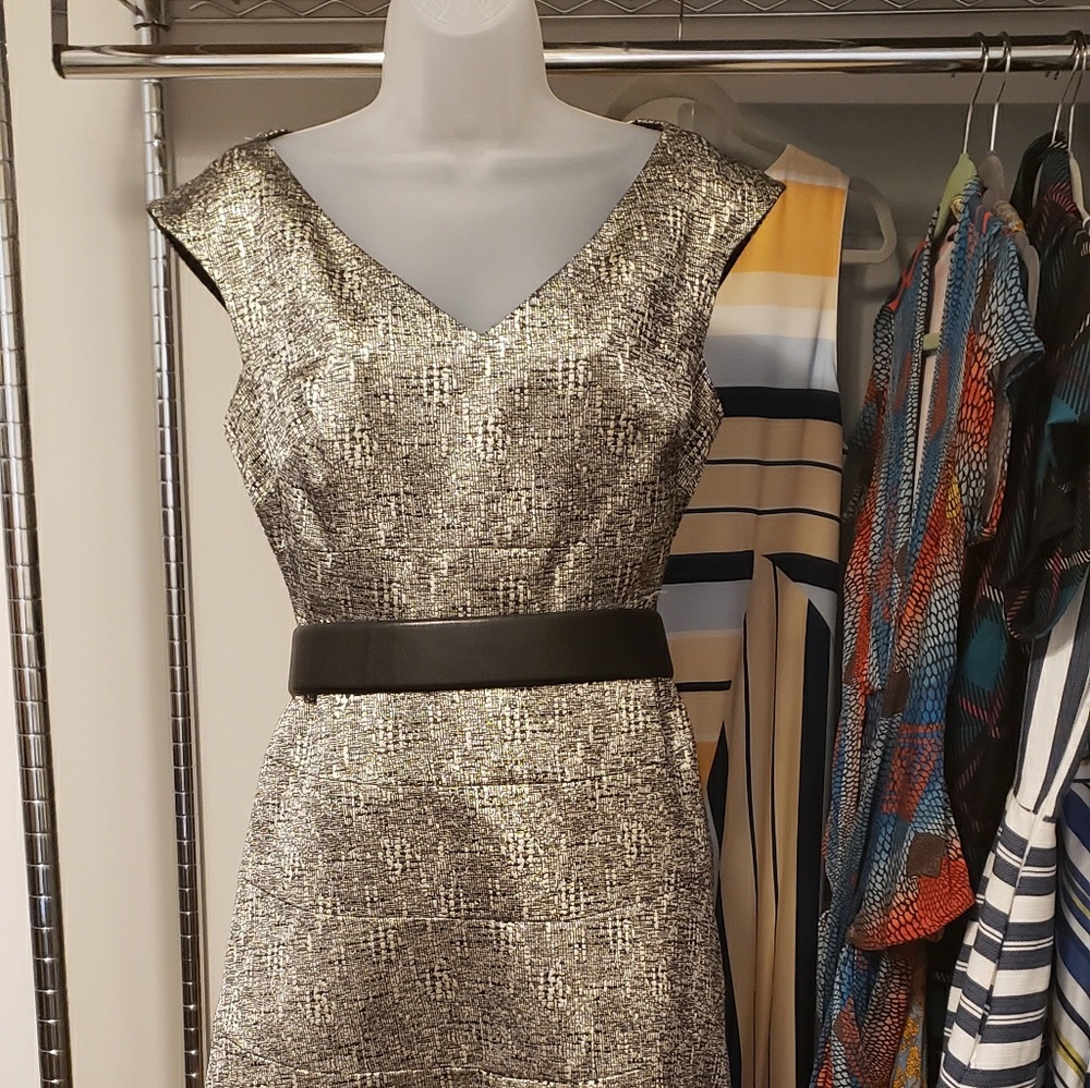Anne Klein Day To Night Dress